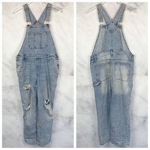 Wild Fable Distressed Hi-Rise Denim Jean Overalls